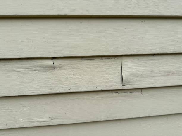 Best Residential Vinyl Siding Installation  in Barrington, NJ